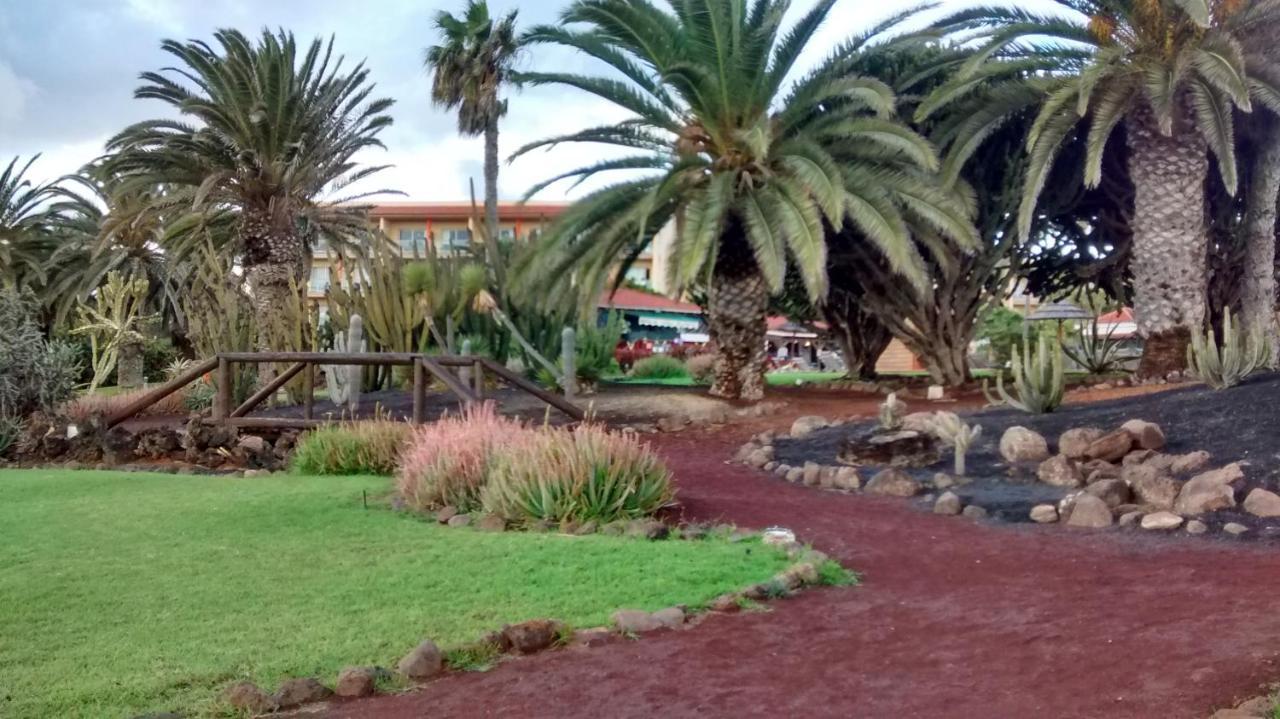 Апартаменты Le Poulpe Bleu Fuerteventura Chic And Relax Пуэрто-дель-Росарио Экстерьер фото